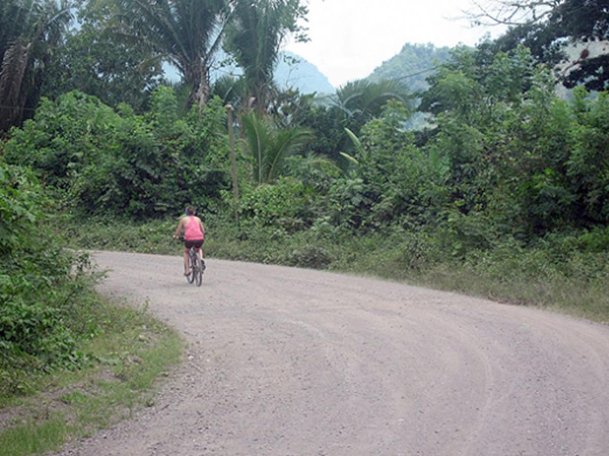 Omega Tours Eco-Jungle Lodge La Ceiba Exteriér fotografie