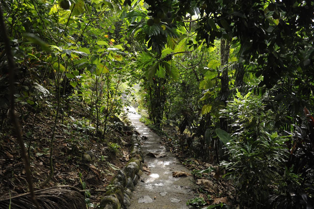 Omega Tours Eco-Jungle Lodge La Ceiba Exteriér fotografie