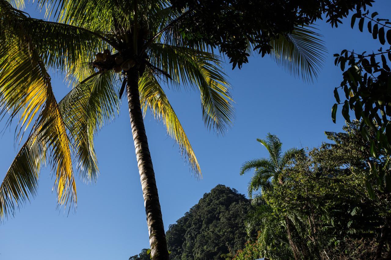 Omega Tours Eco-Jungle Lodge La Ceiba Exteriér fotografie