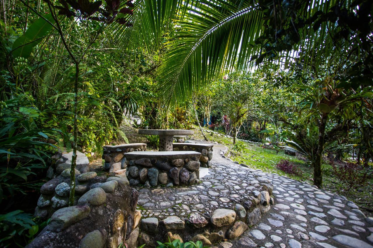 Omega Tours Eco-Jungle Lodge La Ceiba Exteriér fotografie