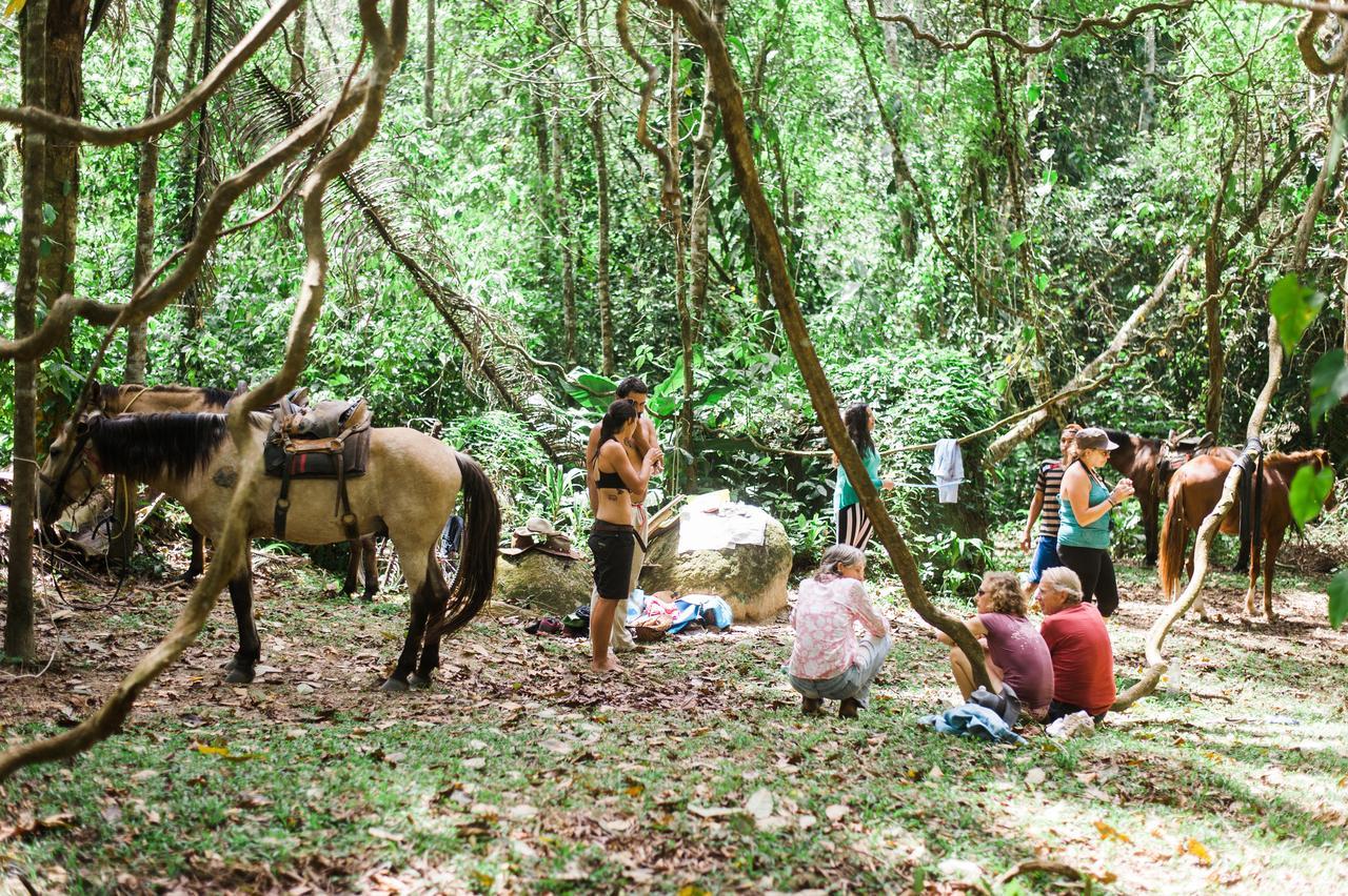 Omega Tours Eco-Jungle Lodge La Ceiba Exteriér fotografie