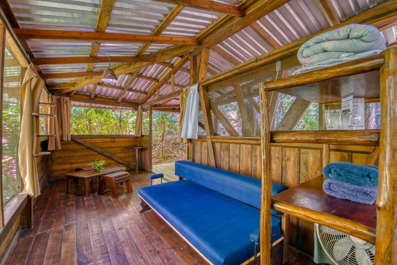 Omega Tours Eco-Jungle Lodge La Ceiba Exteriér fotografie